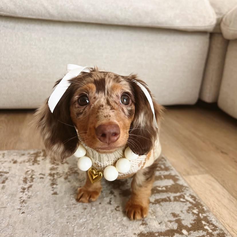 Molly